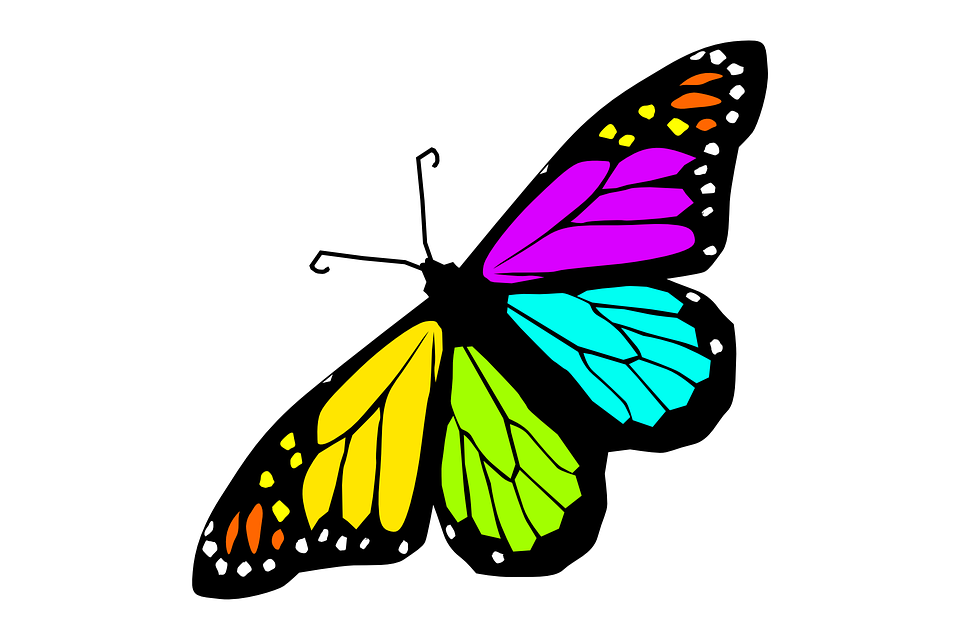 Butterfly Design Spring Summer Decoration Animal - Butterfly Design, Transparent background PNG HD thumbnail