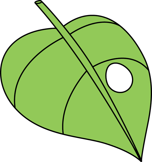 Butterfly Egg on a Leaf, Butterfly Eggs On A Leaf PNG - Free PNG