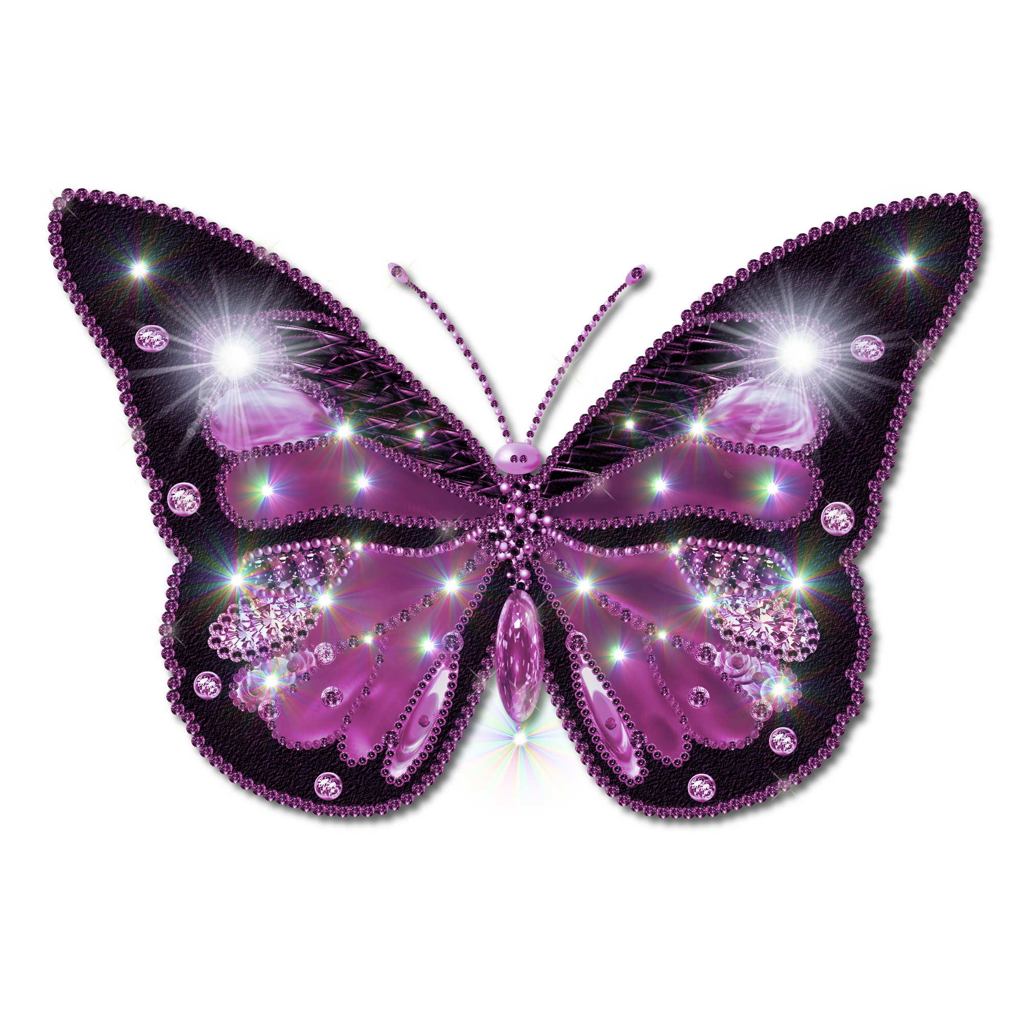 Butterfly Png Image - Butterfly, Transparent background PNG HD thumbnail