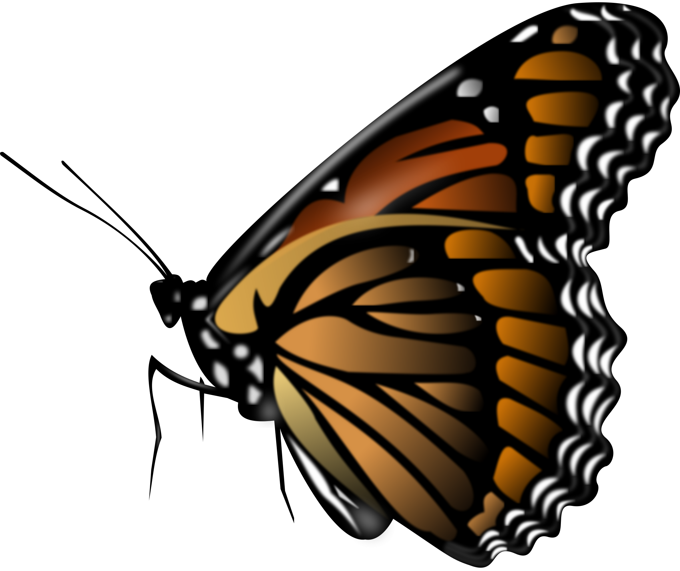 New HD Butterfly Png