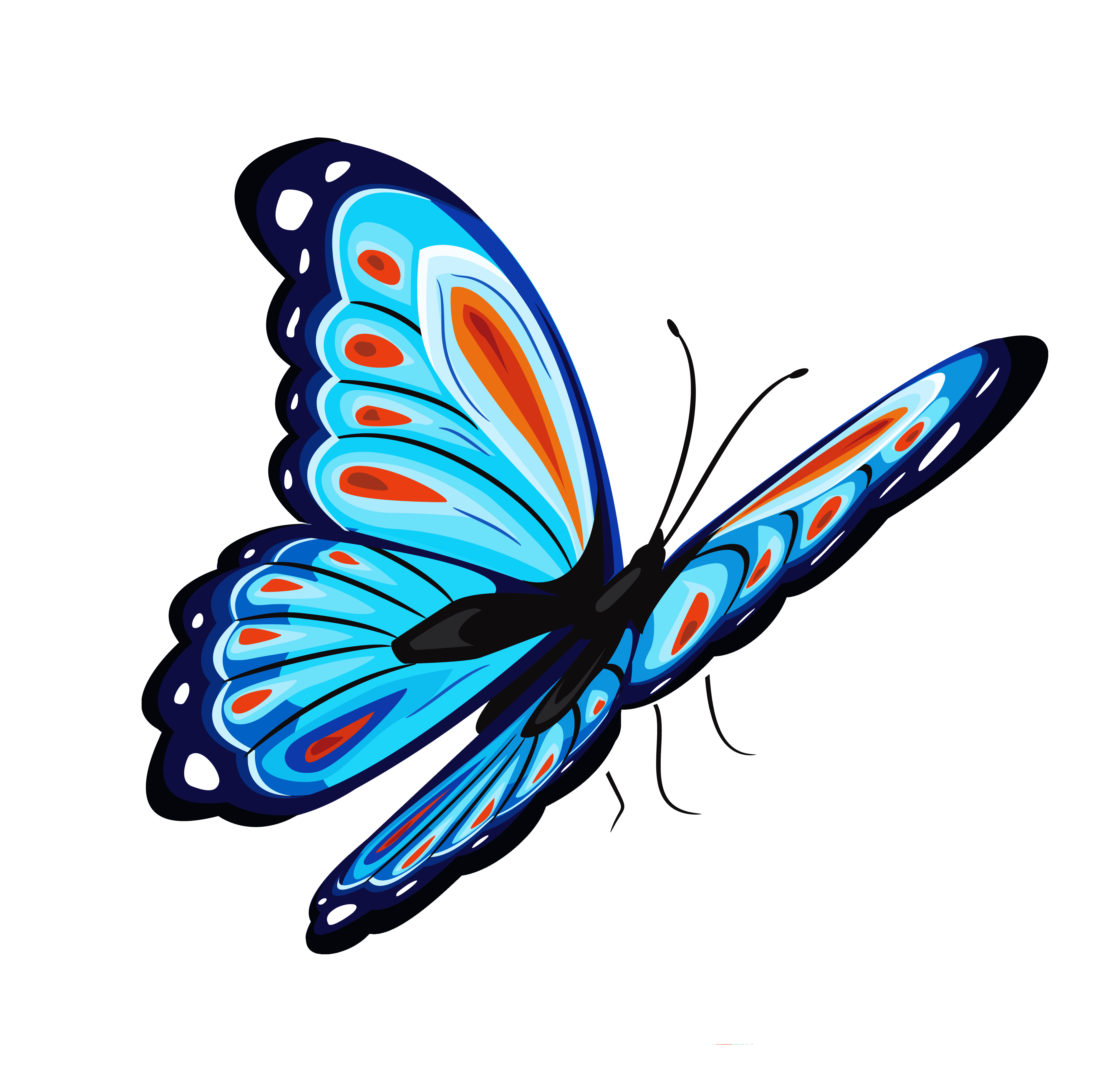 Butterfly Png Png Image - Butterfly, Transparent background PNG HD thumbnail