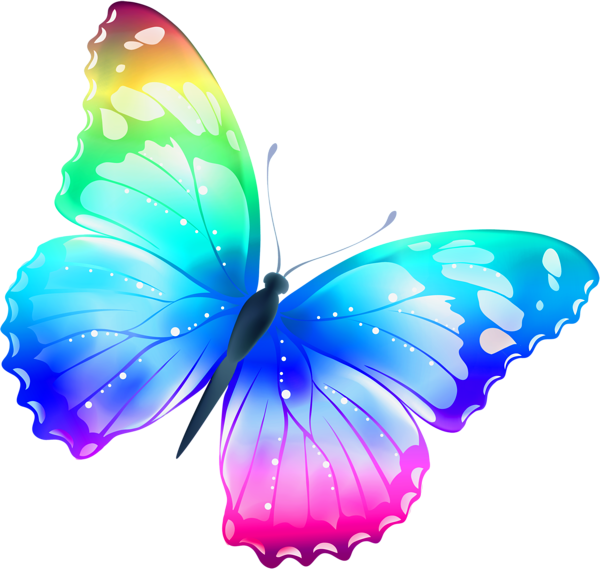 New Hd Butterfly Png - Butterfly, Transparent background PNG HD thumbnail