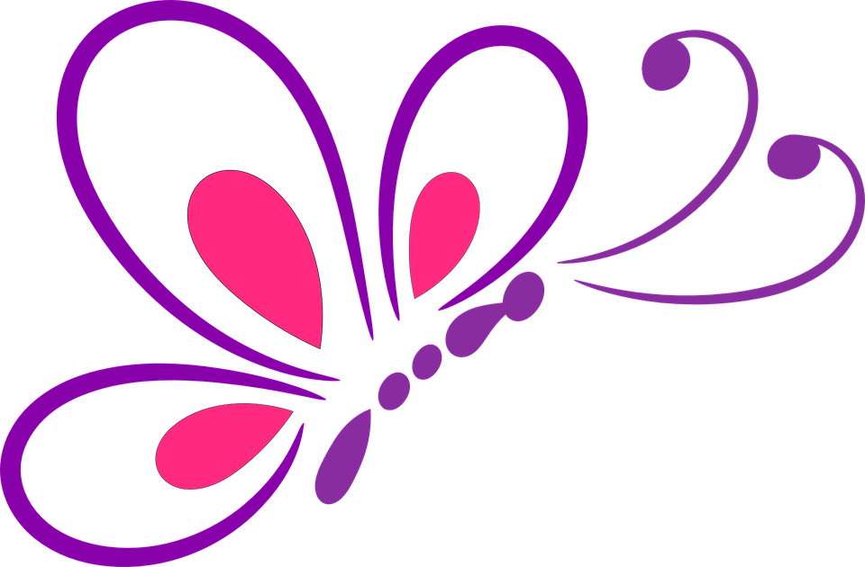 Butterfly Outline Design Insect - Butterfly Design, Transparent background PNG HD thumbnail