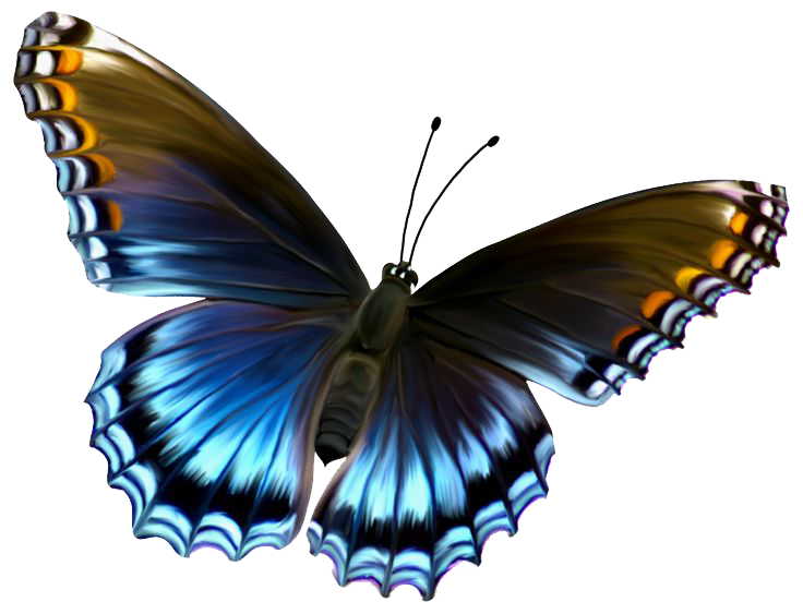 Flying Butterflies - Butterfly, Transparent background PNG HD thumbnail