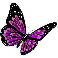 Flying Butterfly Png Image Png Image - Butterfly, Transparent background PNG HD thumbnail