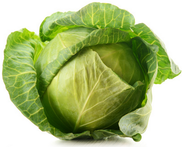 Cabbage Picture PNG Image