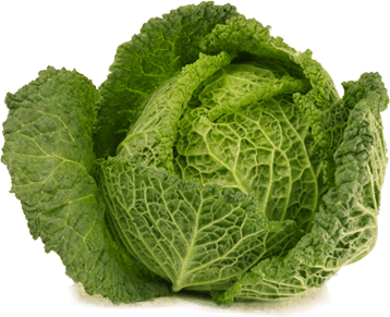 Food · Vegetables · Cabbages - Cabbage, Transparent background PNG HD thumbnail