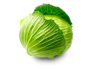 Green Cabbage Png - Cabbage, Transparent background PNG HD thumbnail