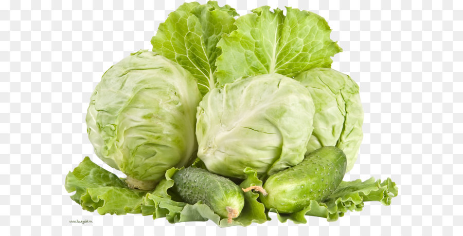 Red Cabbage White Cabbage Vegetable Cauliflower   Cabbage Png Image - Cabbage, Transparent background PNG HD thumbnail