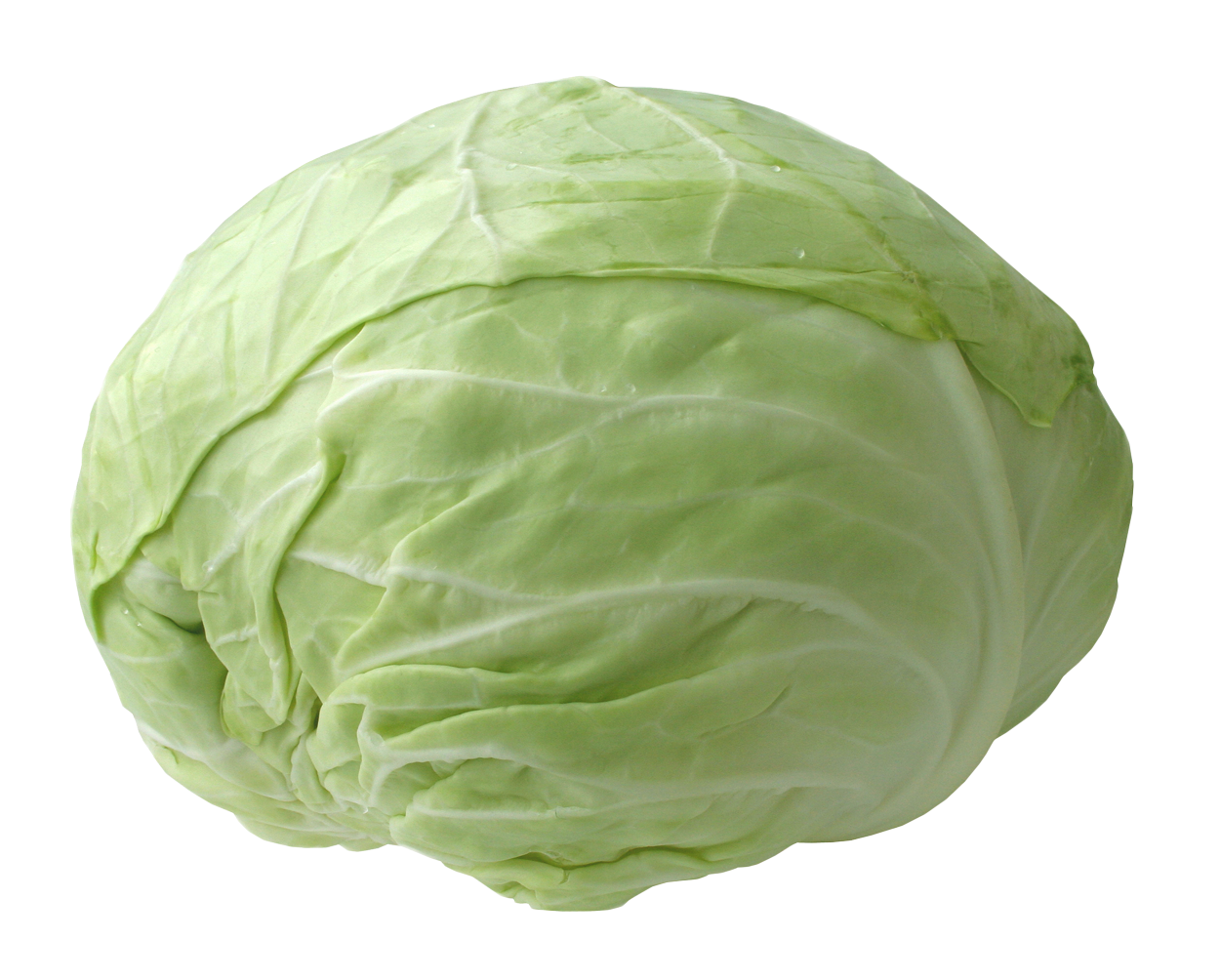 Cabbage Free Download PNG