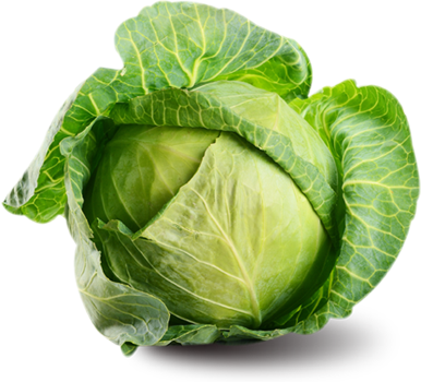 Cabbage Family Vegetable Png - Cabbage, Transparent background PNG HD thumbnail