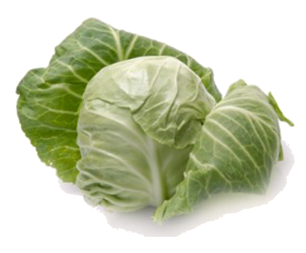 Cabbage Png - Cabbage, Transparent background PNG HD thumbnail