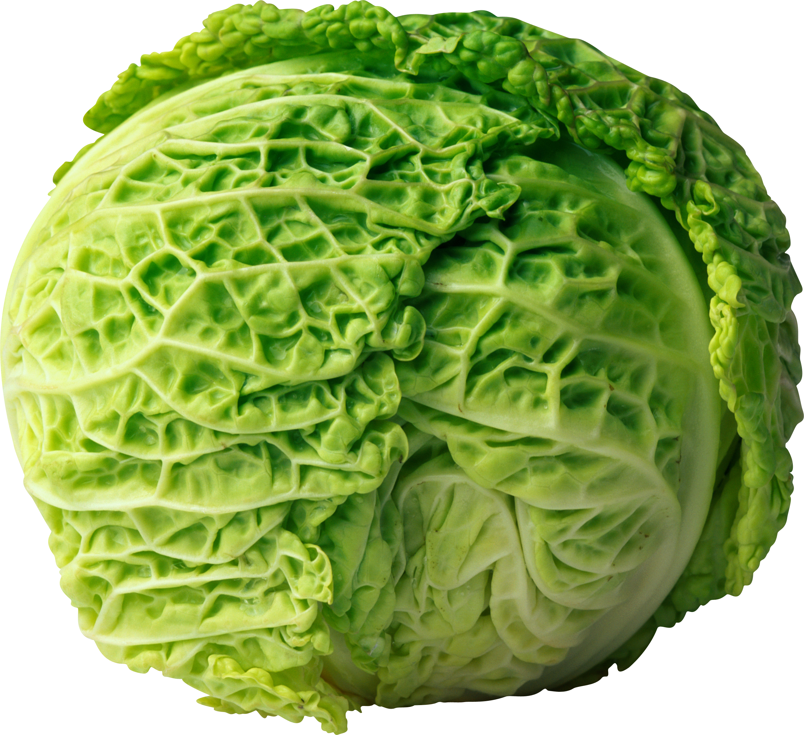 Cabbage Png Image - Cabbage, Transparent background PNG HD thumbnail