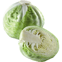 Cabbage Png Image Png Image - Cabbage, Transparent background PNG HD thumbnail