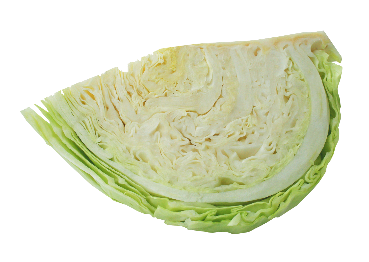 Half Cabbage Png Image - Cabbage, Transparent background PNG HD thumbnail
