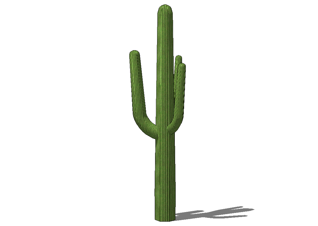 Blocchi Cad E Librerie   Arredo Giardini   Pianta   Cactus - Cactus, Transparent background PNG HD thumbnail
