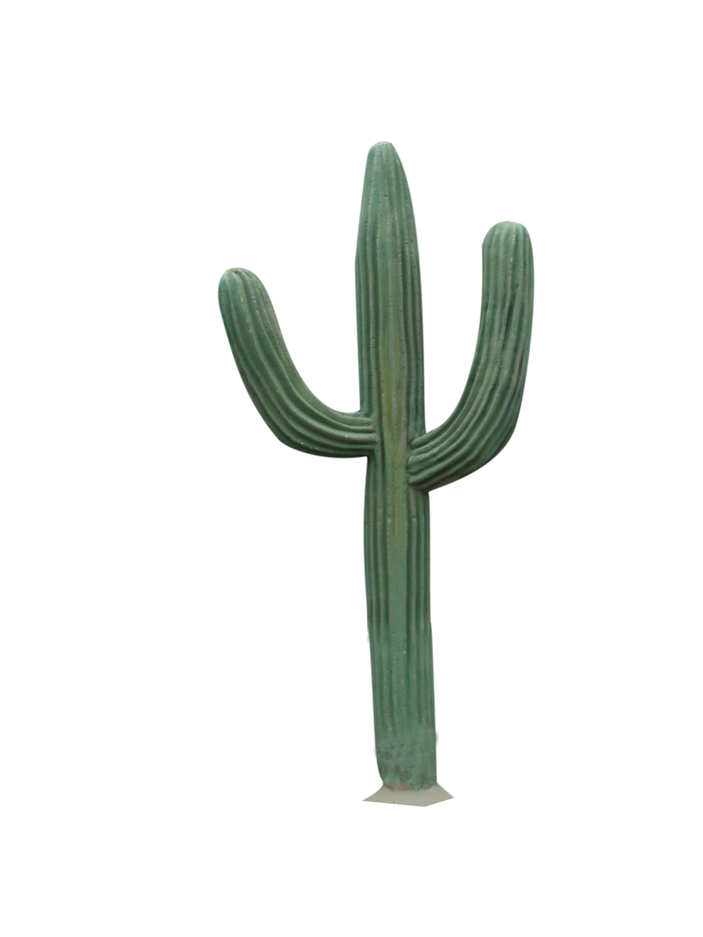 Cactus PNG image, free pictur