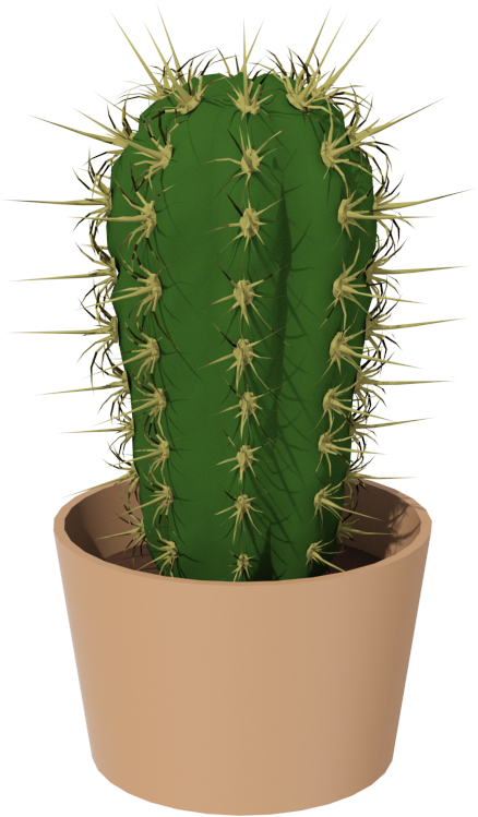Cactus Png Image - Cactus, Transparent background PNG HD thumbnail