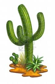 Garenu0027Sfornoobs Cactus.png - Cactus, Transparent background PNG HD thumbnail