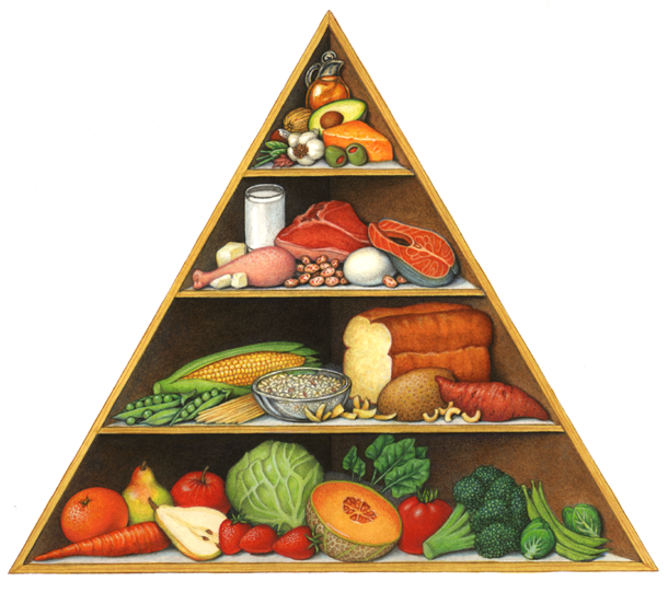 California Lifestyle Food Pyramid - California Food, Transparent background PNG HD thumbnail