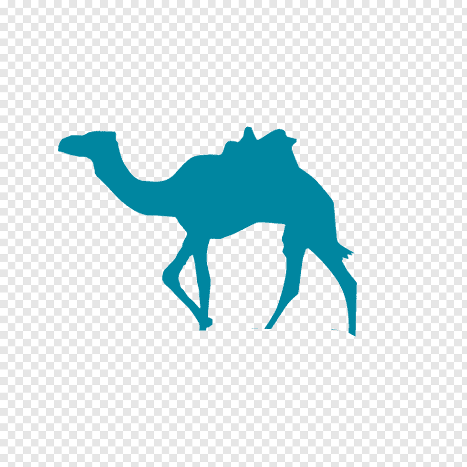 Beijing Sanya Qunar Business Hotel, Water Camel Logo Png | Pngwave - Camel, Transparent background PNG HD thumbnail