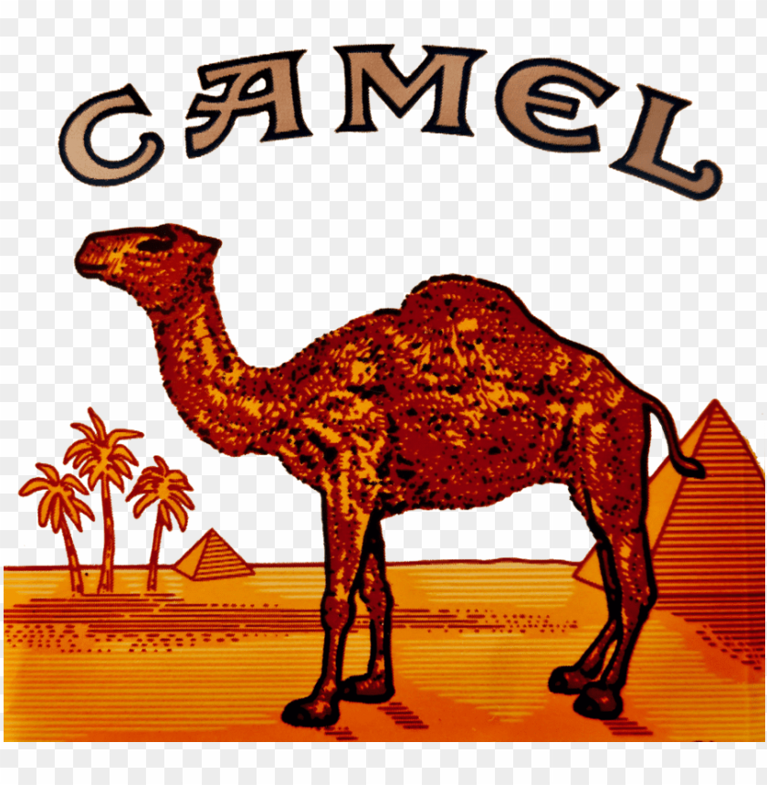 Camel Logo T-shirt Brand, Png