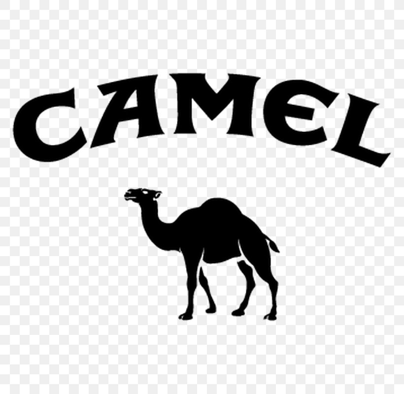 Joe Camel Logo Encapsulated P