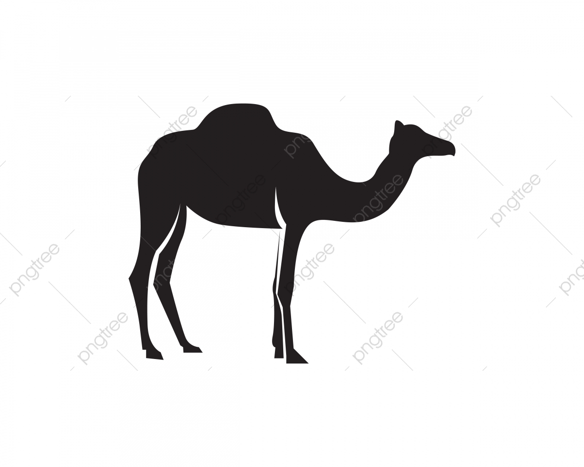 Camel Logo Template Vector, Logo Icons, Template Icons, Abstract Pluspng.com  - Camel, Transparent background PNG HD thumbnail