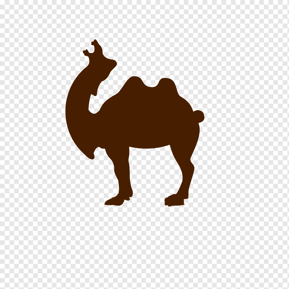 Dromedary Lion Roar, Roar Camel Logo, Mammal, Free Logo Design Pluspng.com  - Camel, Transparent background PNG HD thumbnail