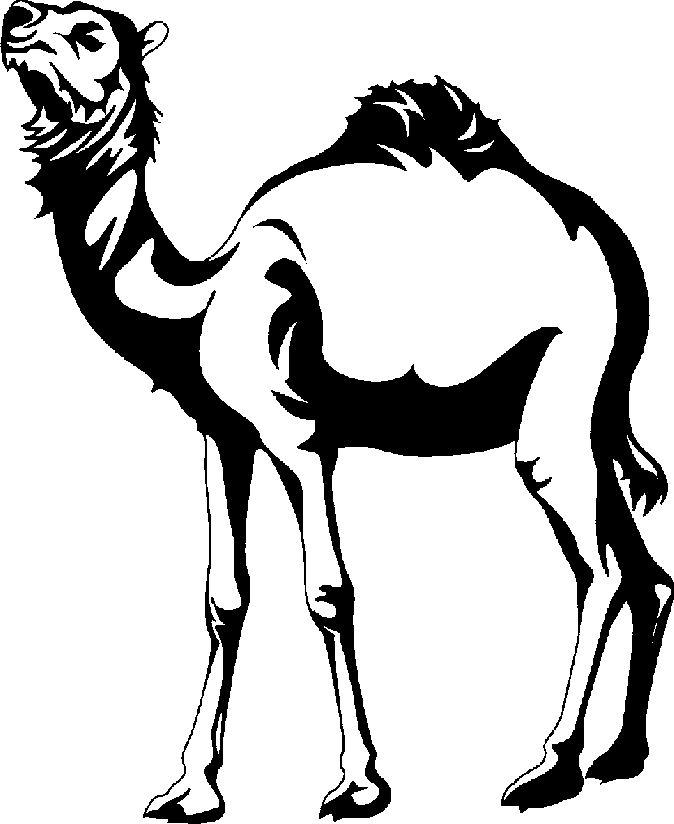 Black And White Camel Clip Art   Google Search - Camel Black And White, Transparent background PNG HD thumbnail