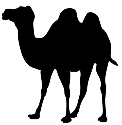 Free Png Camel Png Images Transparent - Camel Black And White, Transparent background PNG HD thumbnail