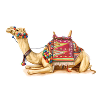 Camel Png image #37108