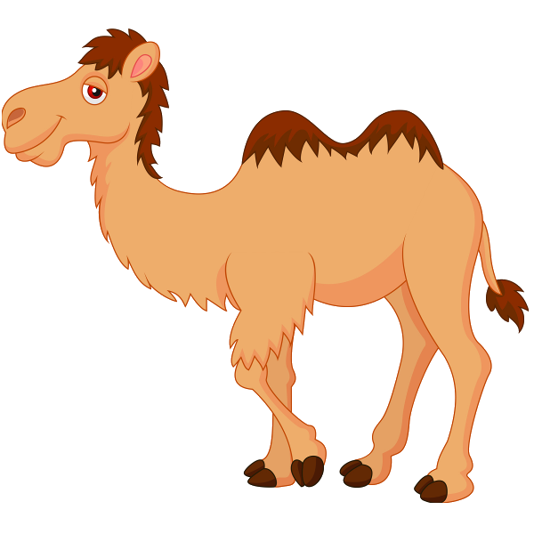 Camel PNG Cartoon - Camel Cartoon-Plus