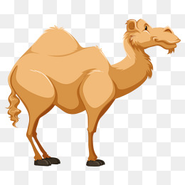 Cartoon Camel | Clipart