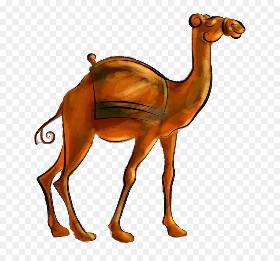 Camel   Hand Painted Cartoon Camel - Camel Cartoon, Transparent background PNG HD thumbnail