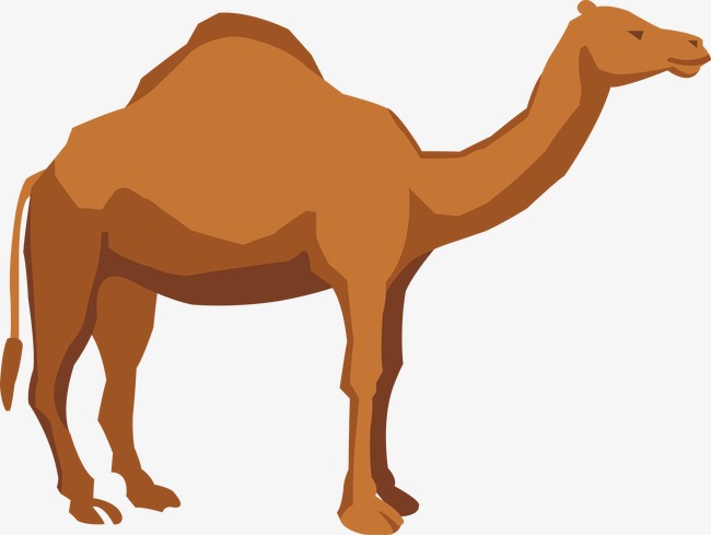 Camel PNG Cartoon - Camel , Ship  