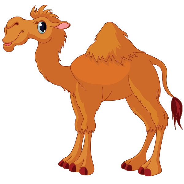 A camel, Hand Painted, Animal