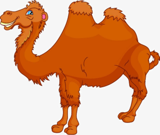 Cartoon Camel Material, Cartoon, Camel Material, Free Camel Png Image And Clipart - Camel Cartoon, Transparent background PNG HD thumbnail