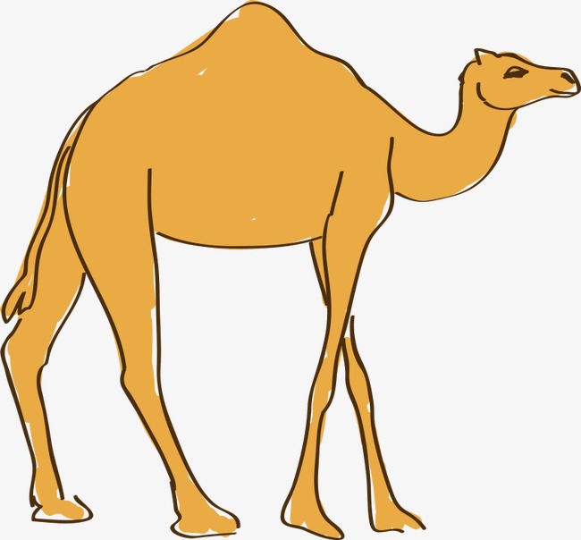 A camel, Hand Painted, Animal