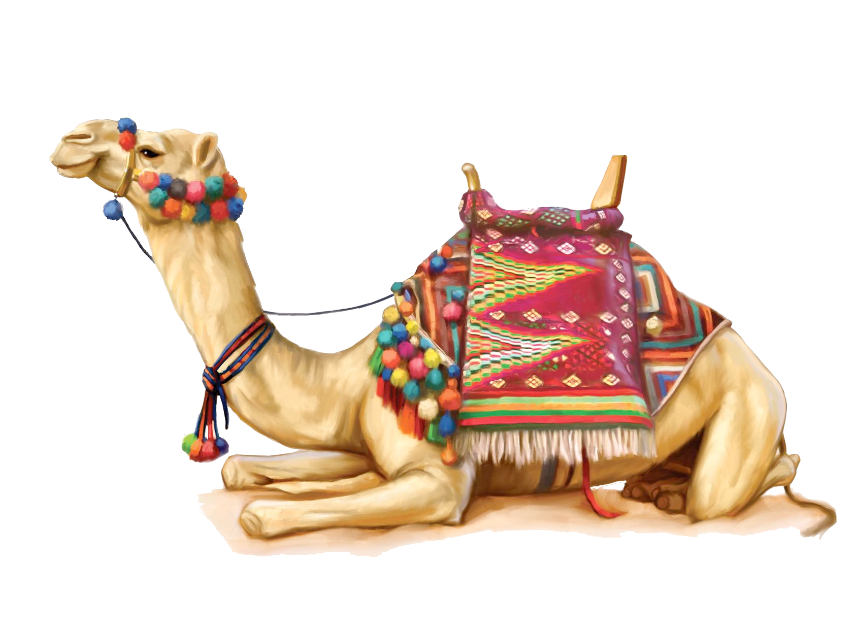 Camel Png 2 - Camels In The Desert, Transparent background PNG HD thumbnail
