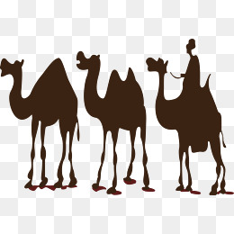 Desert Camel, Desert, Desert Camel, Camel Png And Vector - Camels In The Desert, Transparent background PNG HD thumbnail