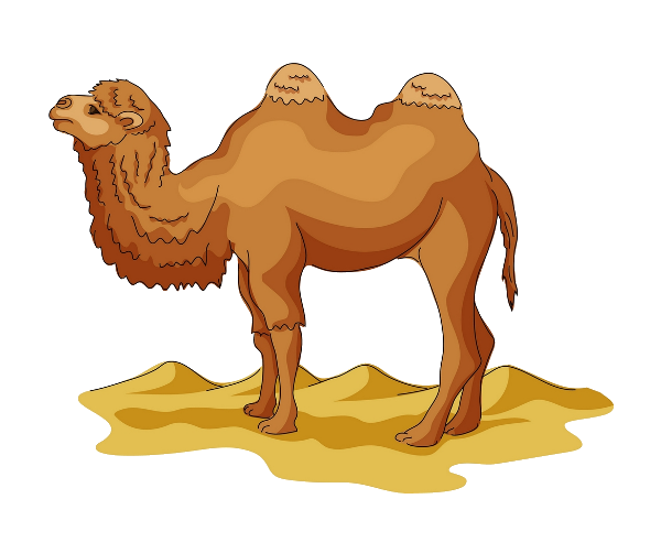 Wild Bactrian Camel Drawing Cartoon Clip Art   Desert Camel Yellow. Download Png - Camels In The Desert, Transparent background PNG HD thumbnail