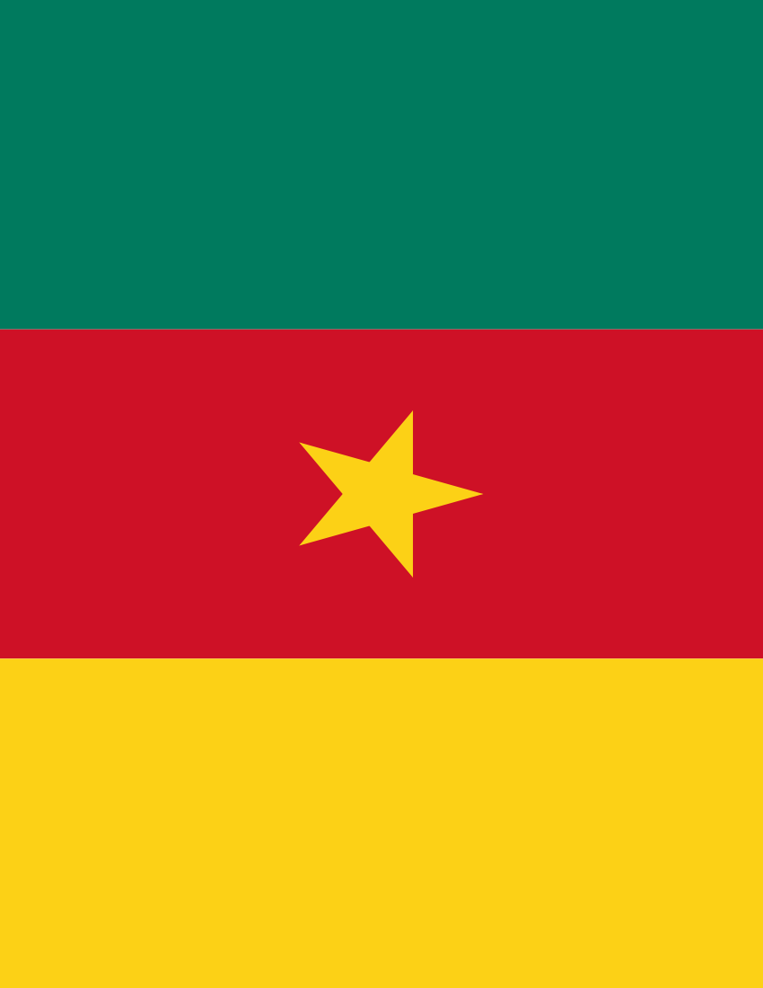 Cameroon Flag Full Page   /flags/countries/c/cameroon /cameroon_Flag_Full_Page.png.html - Cameroon, Transparent background PNG HD thumbnail