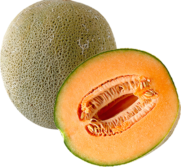 Cantaloupe PNG HD - Best  Melon Ic