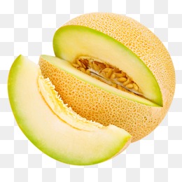 Download Cantaloupe Melon Sli