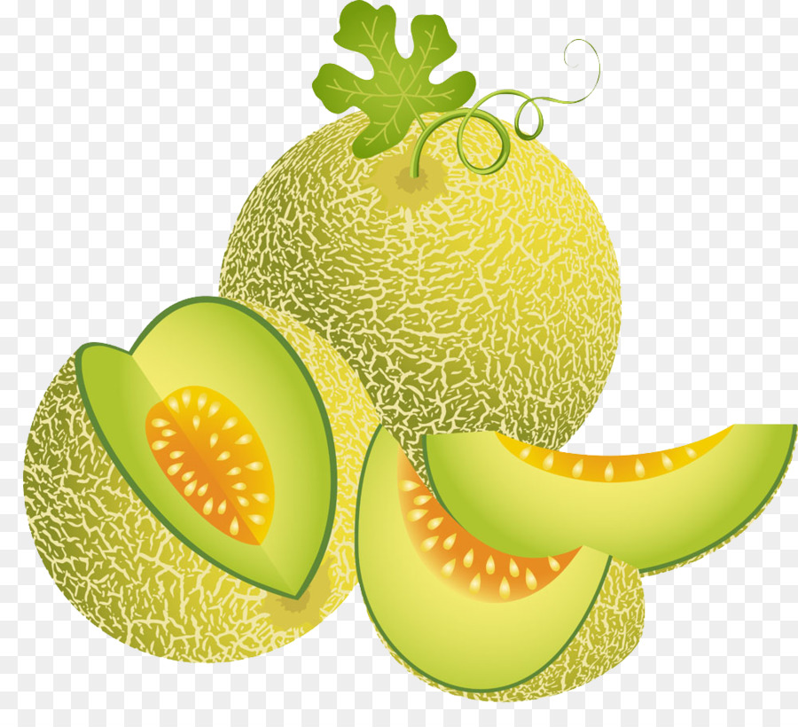 Cantaloupe Melon Illustration   Green Melon - Cantaloupe, Transparent background PNG HD thumbnail