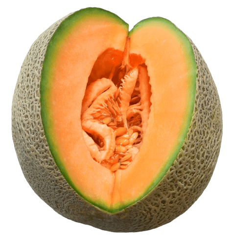 Melon Transparent PNG Sticker