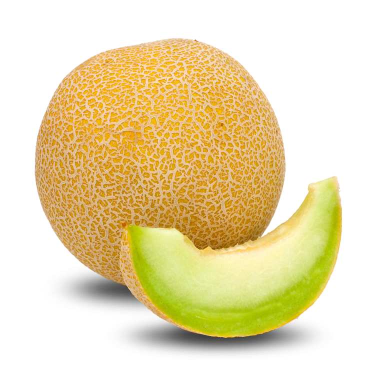 Melon Png14390.png - Cantaloupe, Transparent background PNG HD thumbnail