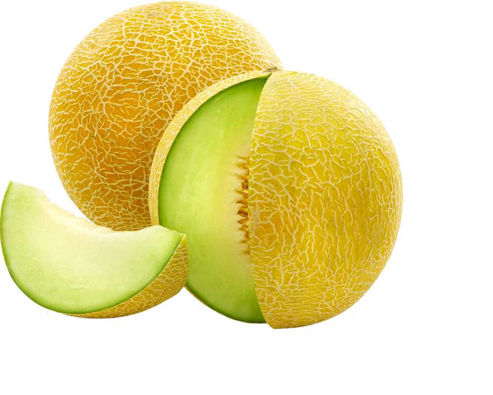 Download Cantaloupe Melon Sli