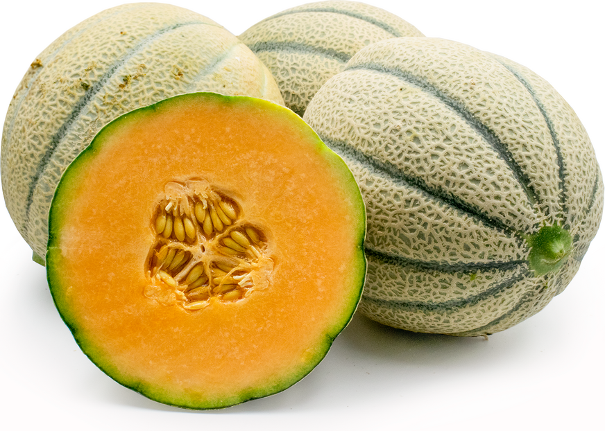 Cantaloupe Melon 1